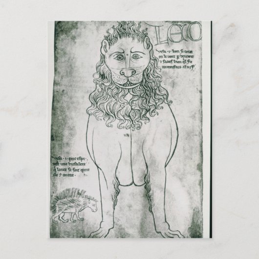 Ms Fr 19093 fol.24vライオンと山嵐 ポストカード (正面)