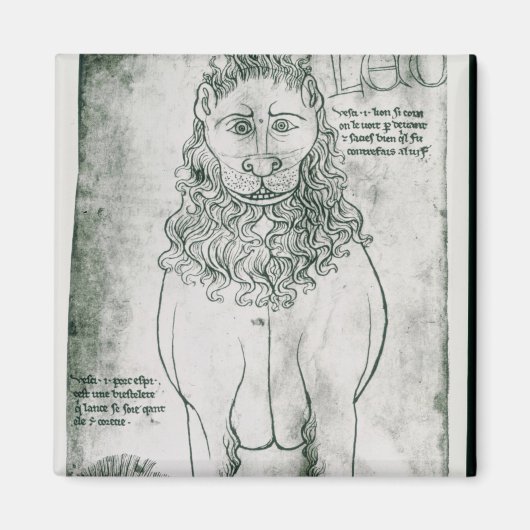 Ms Fr 19093 fol.24vライオンと山嵐 マグネット (正面)