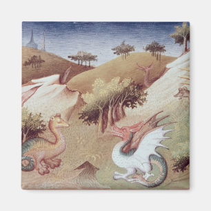 Ms Fr 2810 f.55vドラゴンおよびその他の獣 マグネット