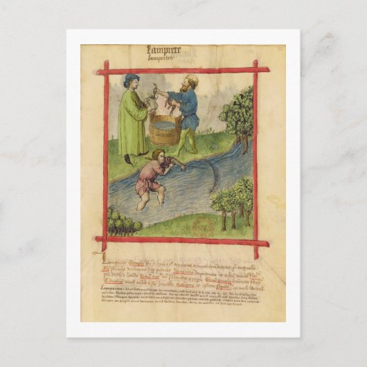 Ms Lat 9333 f.82魚釣りfor Eels, from 'Tacuinum ポストカード (正面)