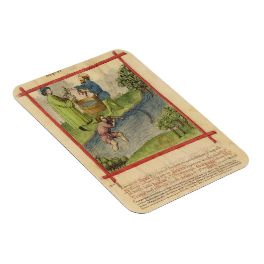 Ms Lat 9333 f.82魚釣りfor Eels, from 'Tacuinum マグネット (右側)