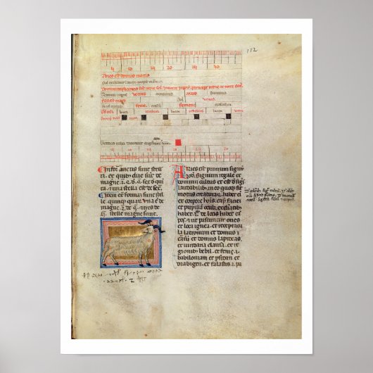 Ms Latin 7272 fol.112イルミネーションのカレンダーページ ポスター (正面)