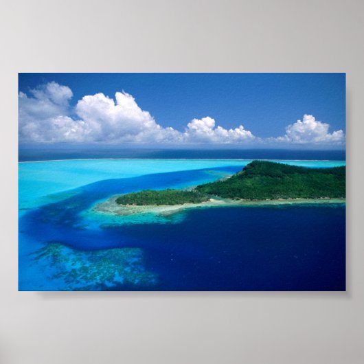 MS Pゴシック ポスター (正面)