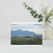 MSU "M"はがき ポストカード (スタンド正面)