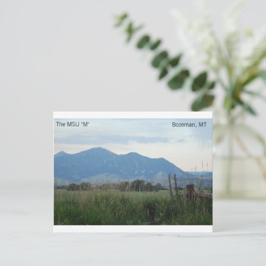 MSU "M"はがき ポストカード (スタンド正面)