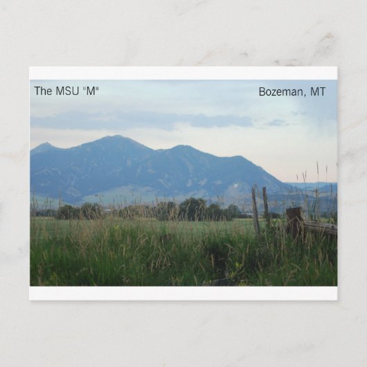 MSU "M"はがき ポストカード (正面)