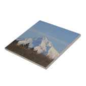 Mtのフード、オレゴン タイル (側面)