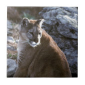 Mtのライオンの頭部 タイル (正面)