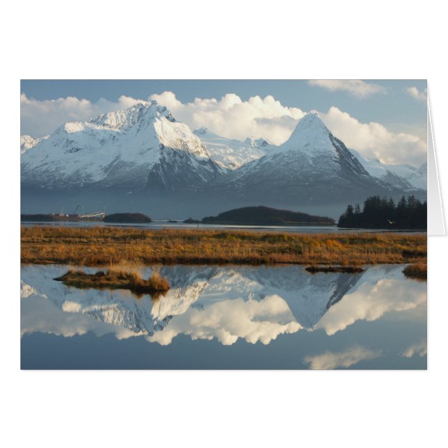 Mtフランシス島及びSugarloaf山 (正面横)