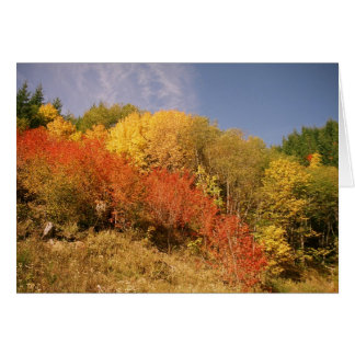 Mt.のフードの紅葉