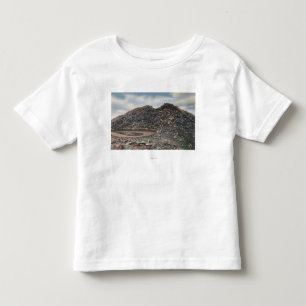 Mt.エバンズのコロラド州の頂上ViewMt。 エバンズ、CO トドラーTシャツ