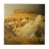 Mt.ガーフィールド タイル (正面)