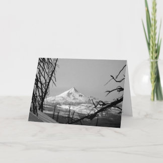 MT.ジェファーソン: 相違 カード