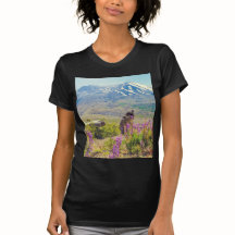 Mt.セントヘレンズ