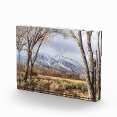 Mt.トムのOwensの谷の山景色 フォトブロック (右)