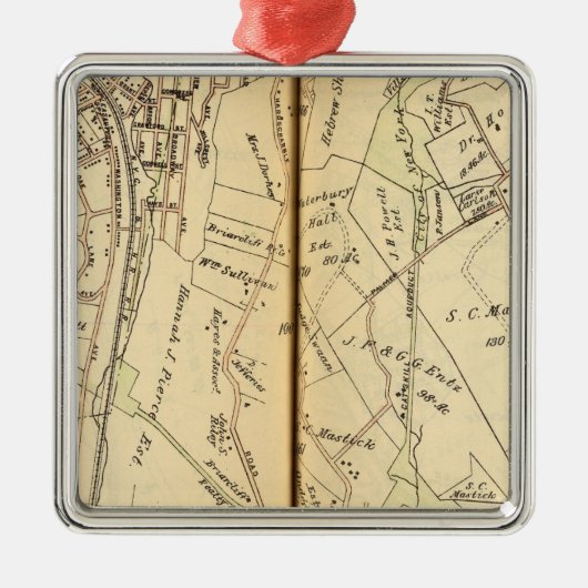 Mt.気持が良い、ニューヨーク3 メタルオーナメント (正面)