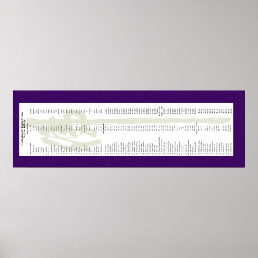 Mt. Adams Lineage for Thich Minh Tinh ポスター (正面)