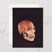 Mt Carmelで発見されたネアンデルタールスカル ポストカード (正面/裏面)