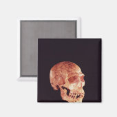 Mt Carmelで発見されたネアンデルタールスカル マグネット (正面/裏面)