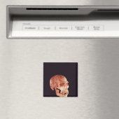 Mt Carmelで発見されたネアンデルタールスカル マグネット (インサイチュ (食洗機))