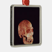 Mt Carmelで発見されるネアンデルタールのスカル メタルオーナメント (右)