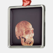 Mt Carmelで発見されるネアンデルタールのスカル メタルオーナメント (左)