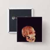 Mt Carmelで発見されるネアンデルタールのスカル 缶バッジ (正面&裏面)