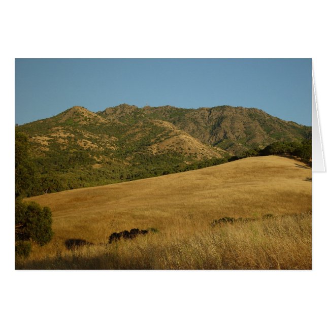 Mt. Diablo、カリフォルニアの夏 (正面横)