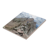 Mt Eolus Catwalk – シカゴ盆地 – コロラド タイル (側面)