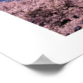 Mt Fuki with Sakura ポスター (角)