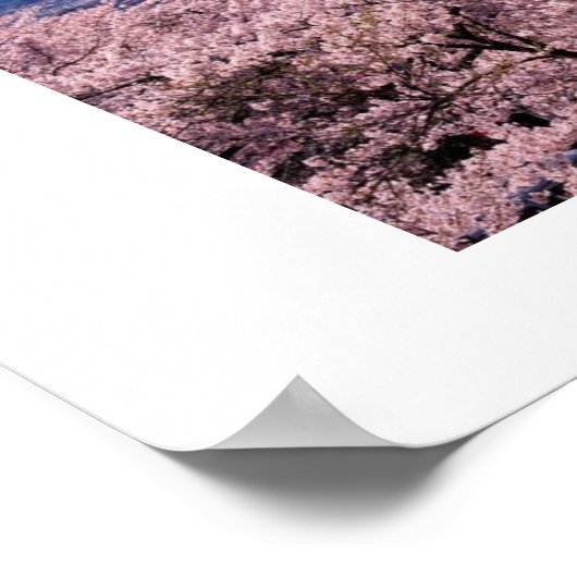 Mt Fuki with Sakura ポスター (角)