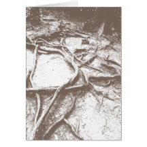 Mt. Kuramaの木の根