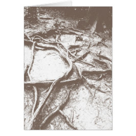 Mt. Kuramaの木の根