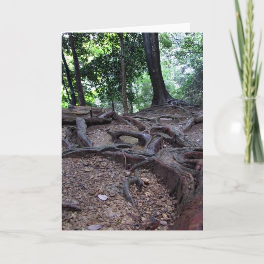 Mt. Kuramaの木の根 カード (正面)