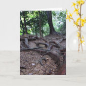 Mt. Kuramaの木の根 カード (黄色い花)