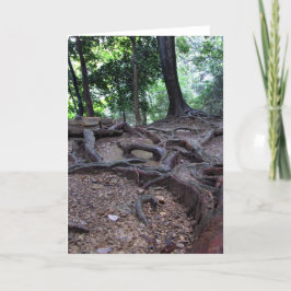 Mt. Kuramaの木の根 カード