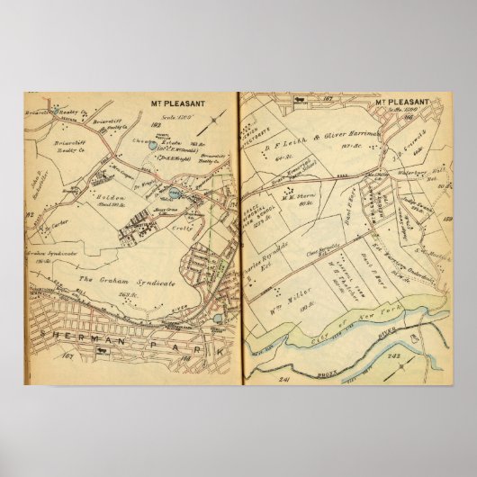 Mt. Pleasant, New York 3 ポスター (正面)