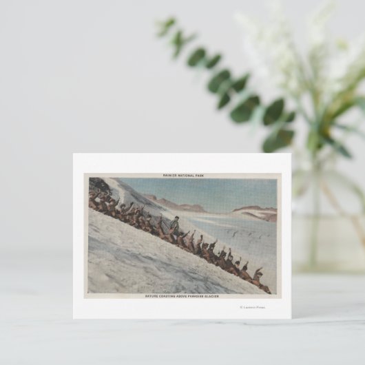 Mt. Rainier, WA – 人の列が入る ポストカード (スタンド正面)