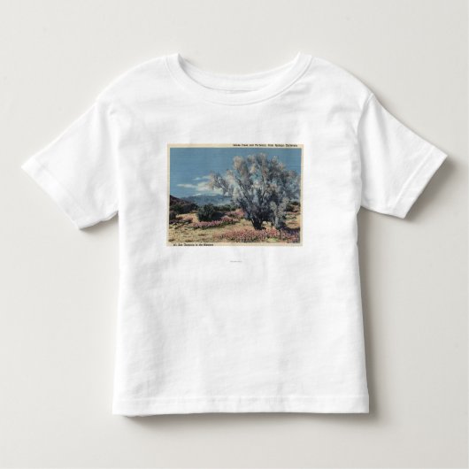 Mt. San Gorgonioの眺め、煙木 トドラーTシャツ (正面)