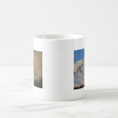 Mt. Shastaのマグ コーヒーマグカップ (中央)