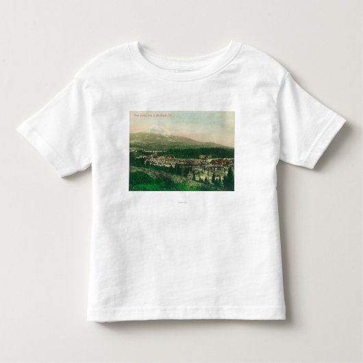 Mt. Shastaの基盤の雑草の場所の空中写真 トドラーTシャツ (正面)