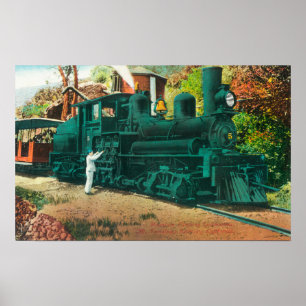 Mt. Tamalpaisの鉄道の列車の眺め ポスター