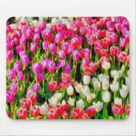 Mt Vernon赤と白のピンクのチューリップ マウスパッド