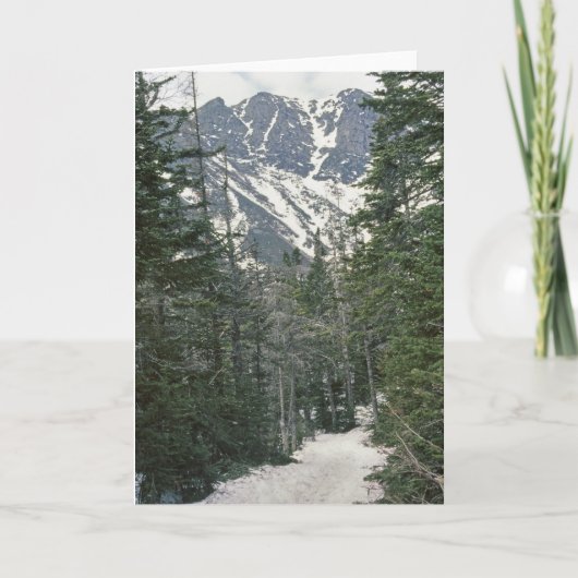 Mt Washingtonトレイルビュー シーズンカード (正面)