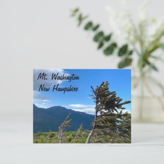 Mt. Washington, NH Postcard ポストカード (スタンド正面)