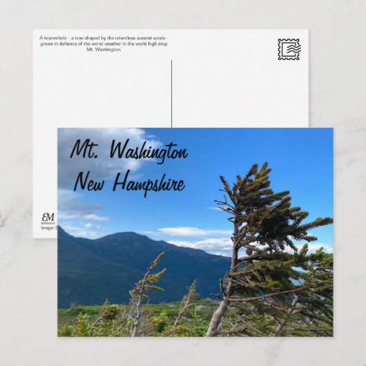 Mt. Washington, NH Postcard ポストカード (正面/裏面)
