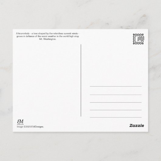 Mt. Washington, NH Postcard ポストカード (裏面)