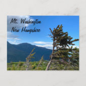 Mt. Washington, NH Postcard ポストカード (正面)