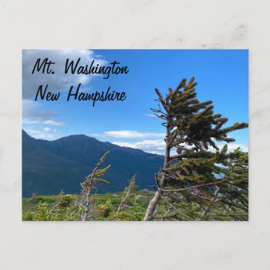 Mt. Washington, NH Postcard ポストカード (正面)