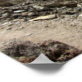 Mt Whitney Trail Junction - John Muir Trail ポスター (角)